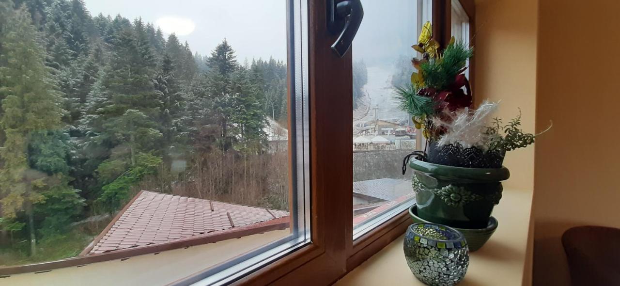 Kalinderu SKIER'S APARTAMENT BELLEVUE Buşteni Exterior foto